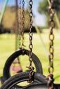 Vertical shallow focus of tire swings in a park