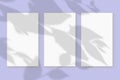 3 vertical sheets of textured white paper on soft violet table background. Mock up with an overlay of plant shadows