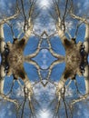Vertical shot of an abstract artsy background of arboreal figures mirrored opposite each other
