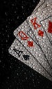 Vertical shot of ace, queen, and king cards with water droplets  against a black background Royalty Free Stock Photo