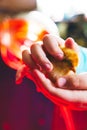 Vertical shot of an adorable yellow chick in the palms of a person on an isolated background Royalty Free Stock Photo