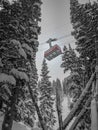 Vertical shot of an aerial tram moving past snow-covered trees at Snowbird Mountain in Utah