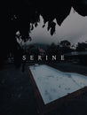 Vertical shot of an aesthetic wallpaper with the word serine against the swimming pool in the yard
