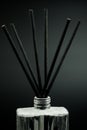 Vertical shot of an air refresher bottle with aromatic black sticks