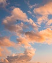 Vertical shot of an airplane flying under a blue cloudy sky during the sunset Royalty Free Stock Photo