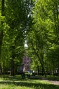 Vertical shot of an alley of green trees leading to a statue near a building