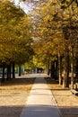 Vertical shot of a pathway with trees on an autumn day in Jardin du Luxembourg, Paris