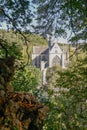 Vertical shot of the Altenberger Dom in Odenthal, Germany through the forest