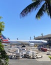Vertical shot of an American Airlines plane parked at Honolulu Airport, seen through palm trees