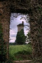 Vertical shot of an ancient historic building in the middle of a greenfield