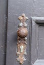 Vertical shot of an antique doorknob on a wooden door Royalty Free Stock Photo