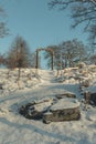 Vertical shot of an arch surrounded by leafless trees. Winter landscape. Royalty Free Stock Photo