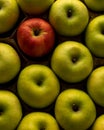 Vertical shot of assorted green apples arranged in paper boxes with a single red apple in center Royalty Free Stock Photo
