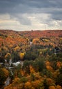 Vertical shot of the autumn colors at the Algonquin Provincial Park, Canada Royalty Free Stock Photo