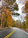 Vertical shot of an autumn landscape with a road surrounded by trees in Pittsburgh, Pennsylvania Royalty Free Stock Photo