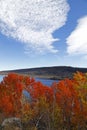 Vertical shot of autumn trees and mountain on a beautiful sky in June Lake Loop, California