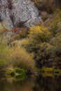 Vertical shot of autumnal foliage near a lake and mountains, during daylight Royalty Free Stock Photo