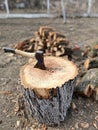 Vertical shot of an ax in a wood stump with a pile of lumber in the background.