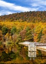 Vertical shot of Aya Lake in the Altai Mountains surrounded by colorful trees reflecting in waters