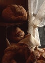 Vertical shot of a basket of fresh bread Royalty Free Stock Photo