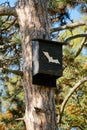 Vertical shot of a bat house on the tree in the park Royalty Free Stock Photo