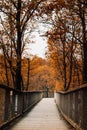 Vertical shot of the Baumwipfelpfad Steigerwald treetop walkway in Ebrach in autumn
