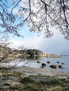 Vertical shot of a beach joining the water with rocks and cliffs, framed by tree branches