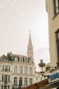 Vertical shot of the beautiful architecture of the city of Brussels, Belgium