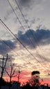 Vertical shot of a beautiful cloudy sunset sky over the silhouettes of power lines and trees. Royalty Free Stock Photo
