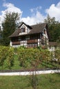 Vertical shot of a beautiful countryside house with the green garden and trees against the blue sky Royalty Free Stock Photo