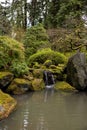 Vertical shot of a beautiful Japanese-style lush garden with moss-covered stones and a pond Royalty Free Stock Photo