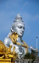 Vertical shot of the beautiful Murudeshwara Temple, a blue statue of a man with a golden snake