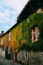 Vertical shot of the beautiful old buildings covered with green and yellow leaves Royalty Free Stock Photo
