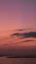 Vertical shot of the beautiful pink sky during sunset, artsy aesthetic