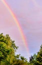 Vertical shot of a beautiful rainbow in the sky above the green trees Royalty Free Stock Photo