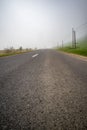 Vertical shot of a beautiful road with green fields on sides with cloudy and foggy sky in background Royalty Free Stock Photo