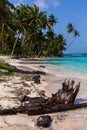 Vertical shot of a beautiful scenery of palm trees at the beach in San Blas Islands, Panama