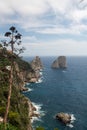 Vertical shot of a beautiful sea in Capri, Italy Royalty Free Stock Photo