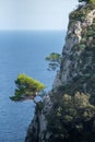 Vertical shot of a beautiful sea in Capri, Italy Royalty Free Stock Photo