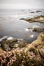 Vertical shot of a beautiful shore of Point Lobos State Natural Reserve, California, USA Royalty Free Stock Photo