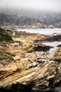 Vertical shot of a beautiful shore of Point Lobos State Natural Reserve, California, USA Royalty Free Stock Photo