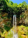 Vertical shot of a beautiful small waterfall flowing over mossy rocks in a forest in sunlight Royalty Free Stock Photo