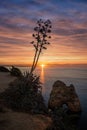 Vertical shot of a beautiful soft sunset over the sea shore Royalty Free Stock Photo
