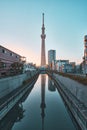 Vertical shot of the beautiful Sumida Park in Taito, Japan Royalty Free Stock Photo
