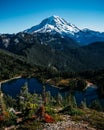 Vertical shot of a beautiful sunny day in Mount Rainer National Park in Washington Royalty Free Stock Photo