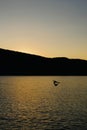 Vertical shot of a beautiful sunset over the sea and silhouettes of the birds and hills.