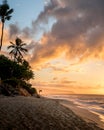 Vertical shot of a beautiful sunset on the sandy beach with palm trees Royalty Free Stock Photo