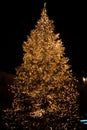 Vertical shot of a beautifully decorated lighted Christmas tree at night