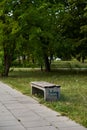 Vertical shot of a bench with random graffiti writing in a park