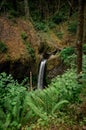 Vertical shot of the Benson Bridge over Multnomah Falls during the day Royalty Free Stock Photo